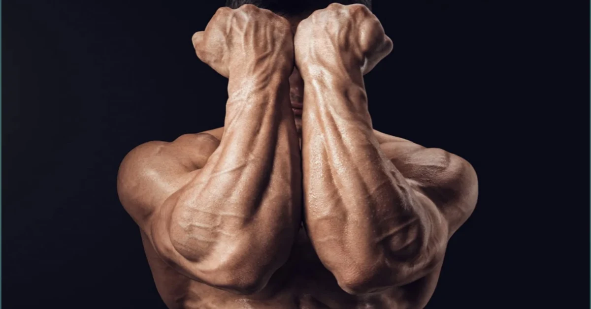 Four Arms Workout At Home