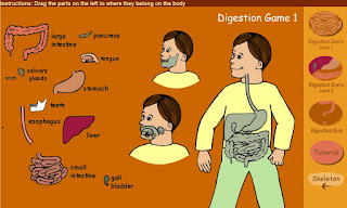 http://www.sheppardsoftware.com/health/anatomy/digestion/digestion_game_1.htm