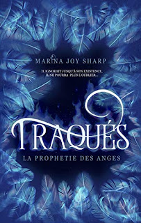 https://lesreinesdelanuit.blogspot.com/2018/10/la-prophetie-des-anges-t1-traques-de.html