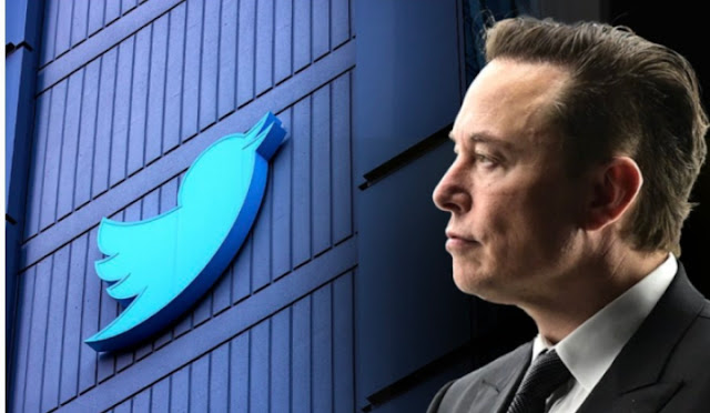 Alt: = "Twitter logo and Elon Musk"