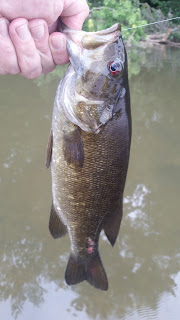 potomac smallie