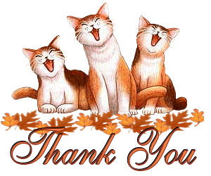 14 million reasons to say thank  you  The IPKat