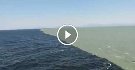 Gulf Of Alaska Where Two Oceans Meet But Never Mix