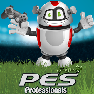 PES Professionals Patch