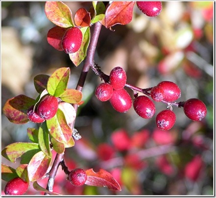 DSCN0325