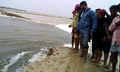 কৃষকের স্বপ্নের সমাধি : শনির হাওরের পর বাঁধ ভেঙ্গে পাকনা হাওরও প্লাবিত