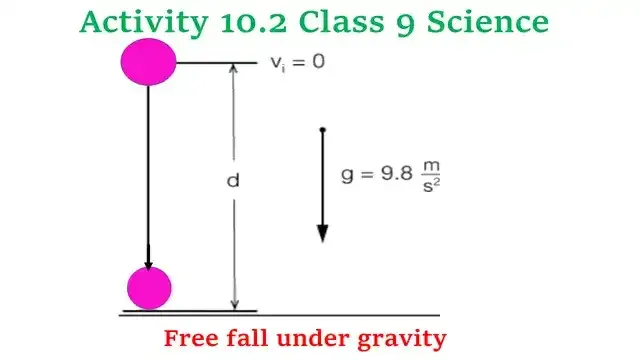 Activity 10.2 Class 9 Science Chapter 10 Gravitation