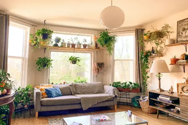 Best Plants for Bedroom