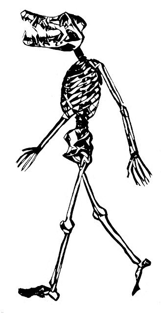 Sobek's Skeleton