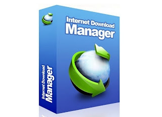 Internet Download Manager (IDM):