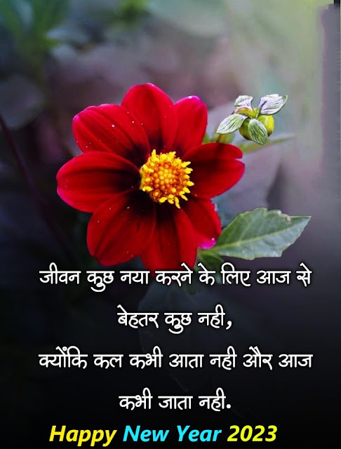 Happy New Year 2023 Images With Quotes in Hindi