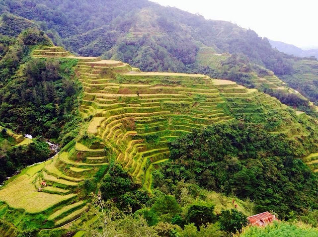 describe banaue rice terraces essay