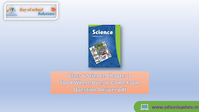 Class 6 Science Chapter 1