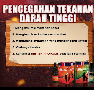 kegunaan obat british propolis