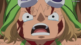 ワンピースアニメ ドレスローザ編 672話 レオ | ONE PIECE Episode 672