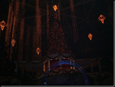 December 14, 2009 028
