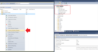 Open and Mapping Web App From TFS Into Local Hardisk