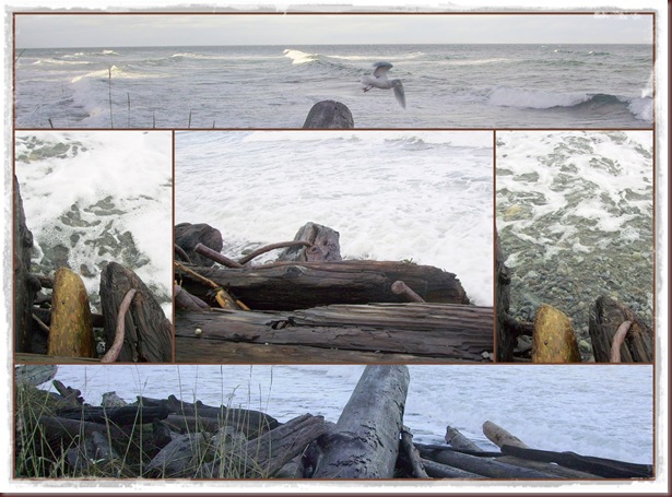 ruined wharf with waves and  seagull cali 9