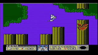 Tiny Toons Nes