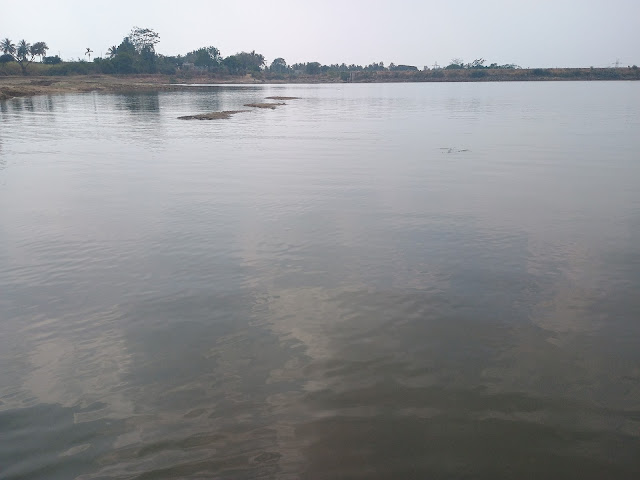 MariaPura Lake , A Hidden Gem Near Bannerghatta