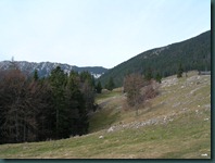 DSCN1384