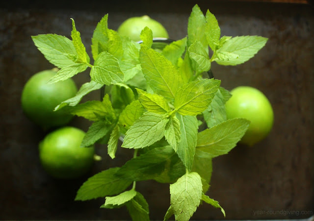 Mint and limes