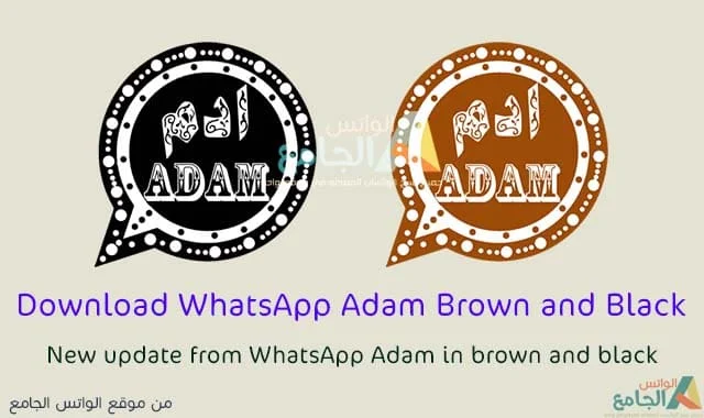 Whatsapp black lions latest update