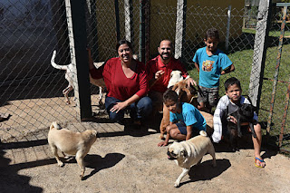 Roselani e Carlos mantêm 14 cachorros em casa: gasto de R$ 700 mensais com ração e muitas alegrias