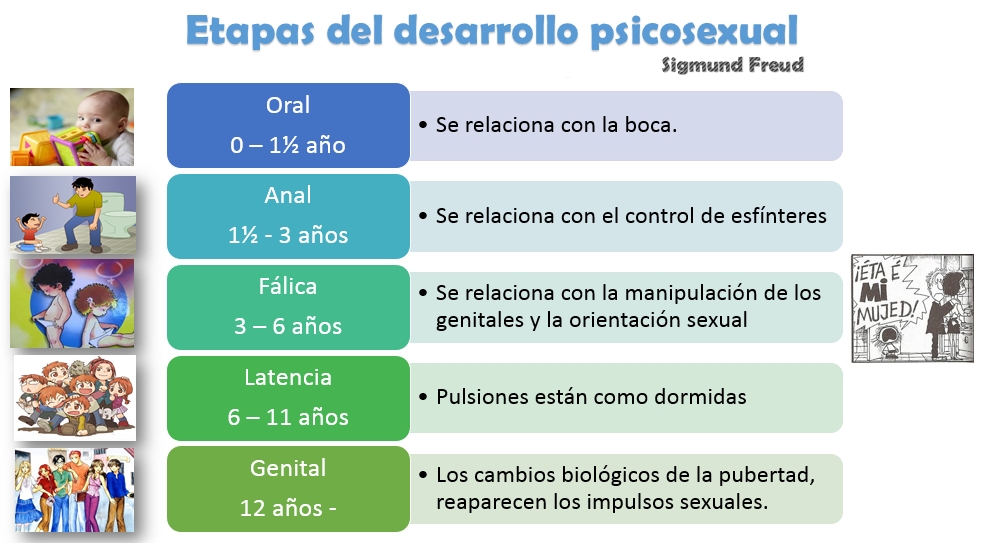 Resultado de imagen para ETAPÁS DEL DESARROLLO PSICOSEPSUAL DE 0 A 5 AÑOS