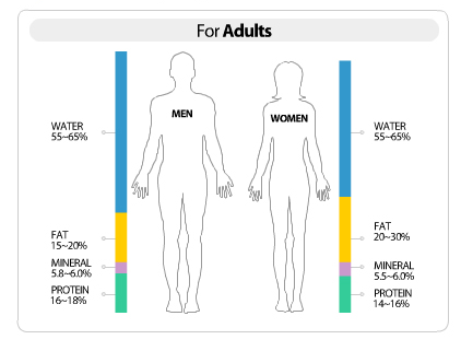 total body fat percentage definition