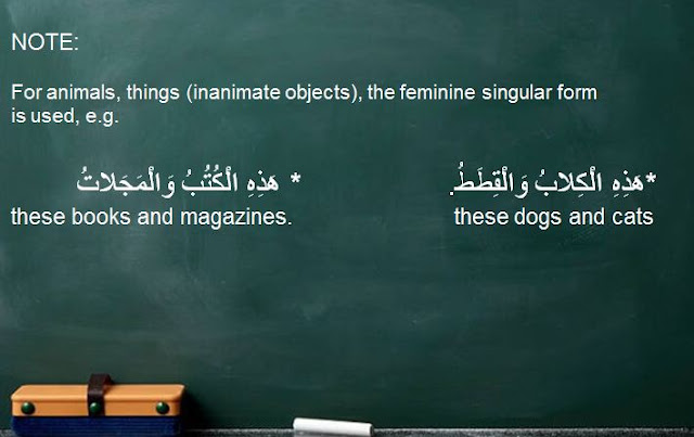 Demonstrative Pronouns in arabic language 