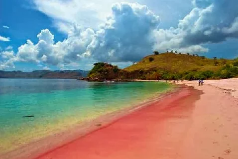 Pantai pink Lombok Timur