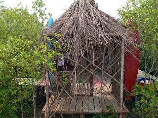 Mempawah Mangrove Park 9