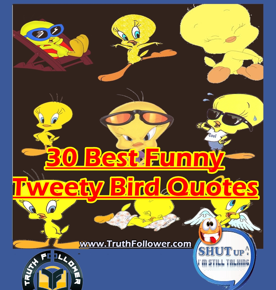 Truth Follower 30 Best Funny Tweety Bird Quotes