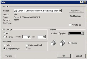 Excel 2003 Print Option