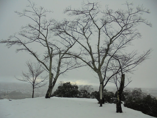 雪の米子城跡