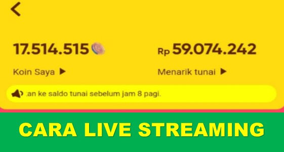 Cara Siaran Langsung Di Aplikasi Snack Video (Live Streaming)