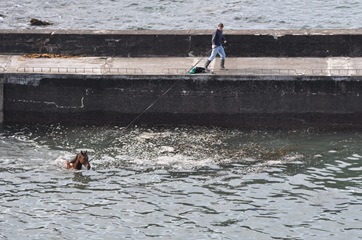 DSC_1673