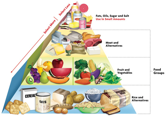 healthy diet it serves as a guide that helps you plan a healthy diet ...