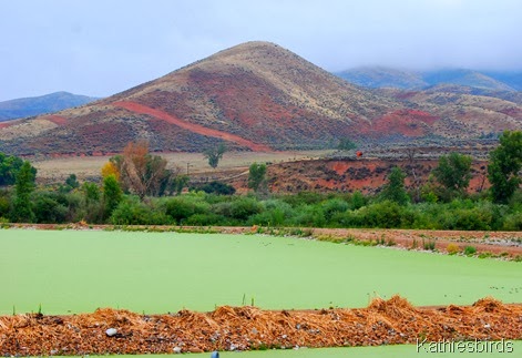 4. sewage treatment plant-kab