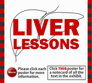 Liver Lessons