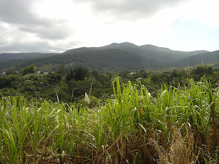 LACN - voyage - guadeloupe