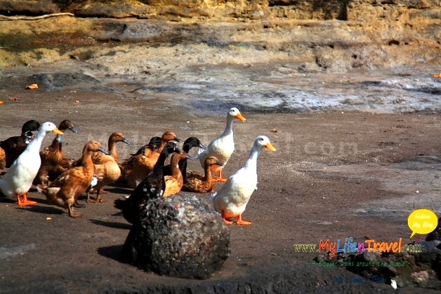 Pura Tanah Lot temple 097