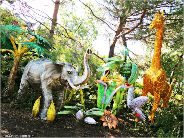 Linternas de Animales del Gardens of Lighten en el Jardín Chino, Montreal