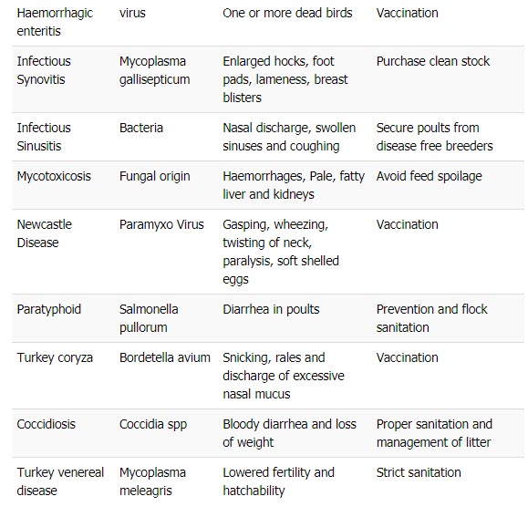 Common Diseases of Turkey