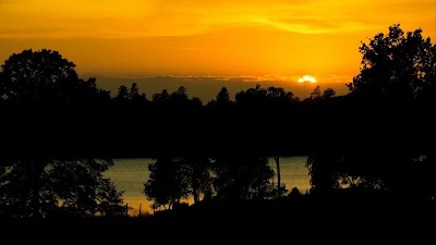 Sunset, Lake, Trees, Silhouettes, Evening