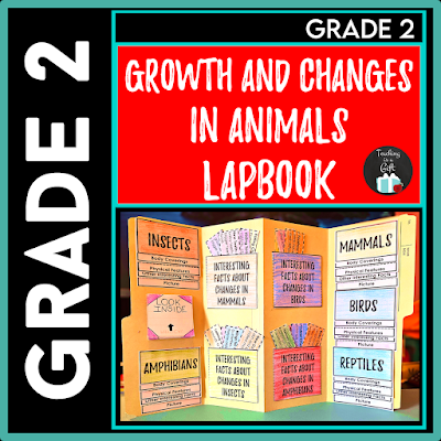 Photo of Grade 2 Growth and Changes in Animals Interactive Lapbook