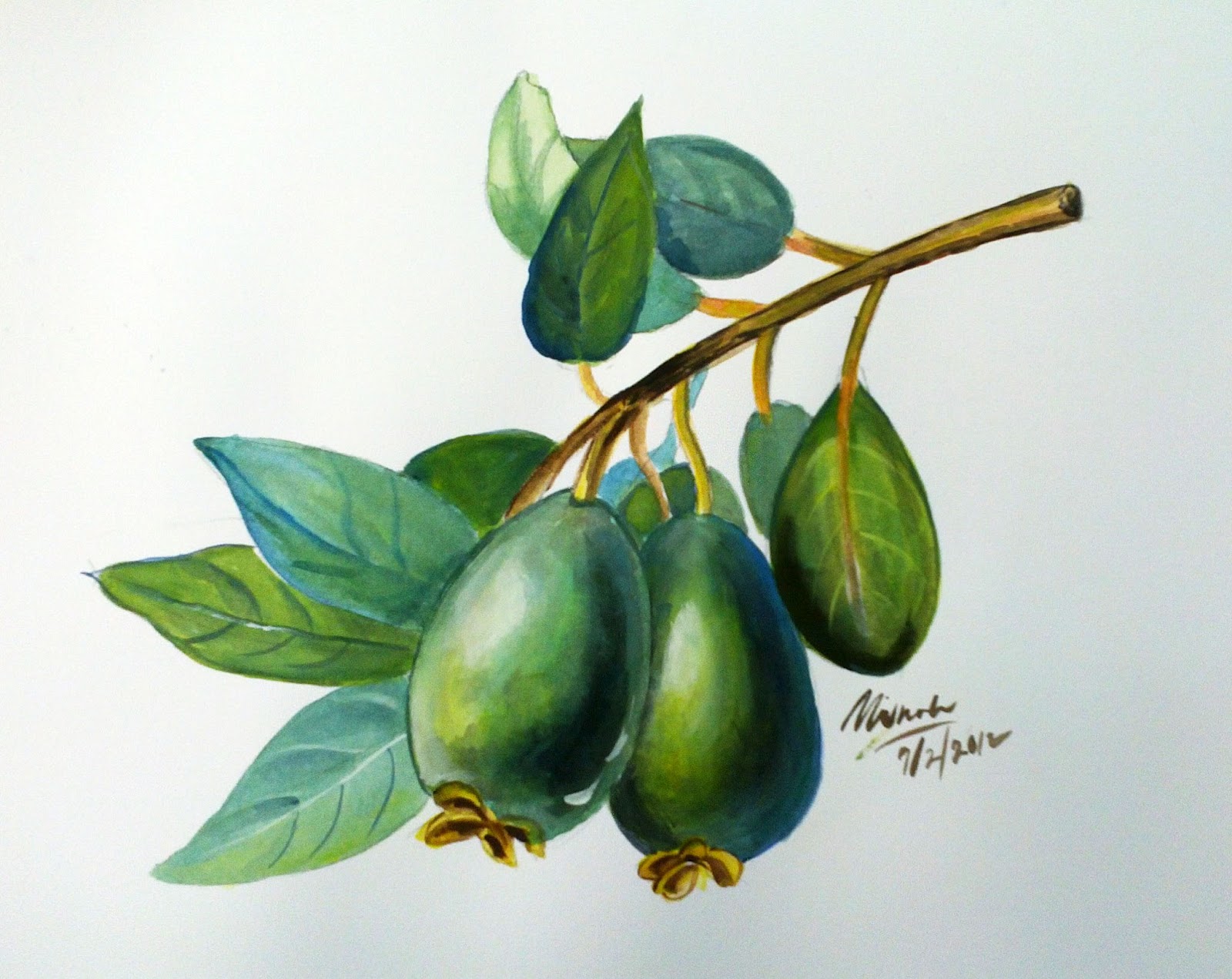  Alat Bantu Mengajar Lukisan dan Catan Buah  buahan 