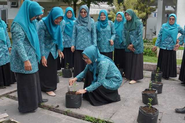  PKK Kota Padang Panjang Bertanam Cabai