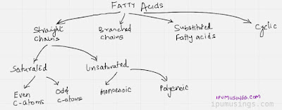 Understanding Chemistry of Fatty Acids #biochemistry #fattyacids #ipumusings